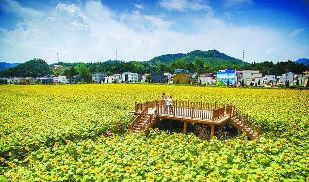 河南文旅博览会,郑州文旅博览会,河南文旅会,郑州文旅会,河南房车露营展,郑州房车露营展,河南户外用品展,郑州户外用品展