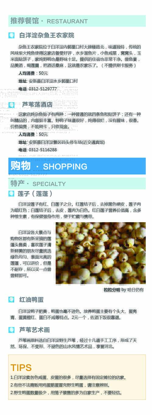 河南文旅博览会,郑州文旅博览会,河南文旅会,郑州文旅会,河南房车露营展,郑州房车露营展,河南户外用品展,郑州户外用品展