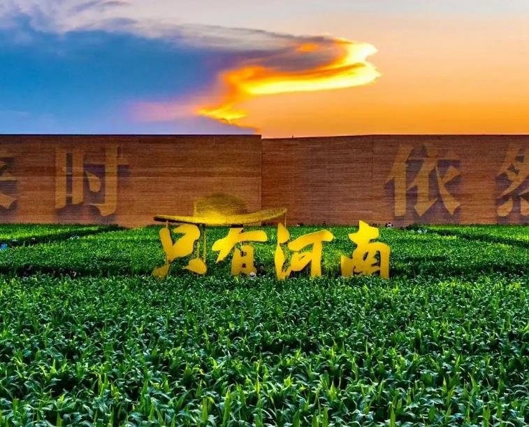 国家级名单公示！郑州、洛阳入选。助力河南文旅新业态发展！